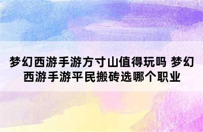 梦幻西游手游方寸山值得玩吗 梦幻西游手游平民搬砖选哪个职业